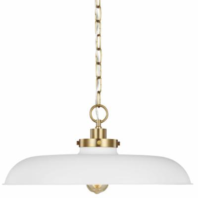 Visual Comfort CP1231MWTBBS - Wellfleet Medium Pendant with clean design and gold chain for modern lighting solutions.