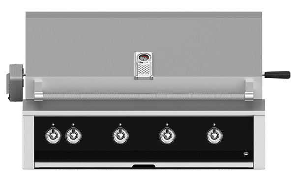 Hestan AERCP42-BK Control Panel for 42 Inch Grill with Rotisserie, Black