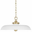 Visual Comfort CP1231MWTBBS - Wellfleet Medium Pendant with clean design and gold chain for modern lighting solutions.