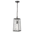 Millennium Lighting 10621-PBK - Dutton 8" Wide Outdoor Mini Pendant with black finish and glass design.