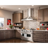 BEST WPP9E36SB 36 Inch Wall Mount Chimney Range Hood with Optional External Blowers, 3-Speed Plus Boost Control, Heat Sentry, Delay Timer, Halogen Lights and Hi-Flow Baffle Filters in a modern kitchen.