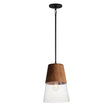 Maxim Lighting 91622CLWNBK - Carpenter 10" Mini Pendant with sleek black finish and clear glass shade.