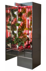 Vertical hydroponic garden with plants illuminated by red lights inside a cabinet.