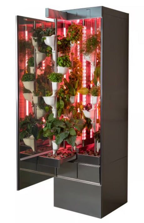 Vertical hydroponic garden with plants illuminated by red lights inside a cabinet.